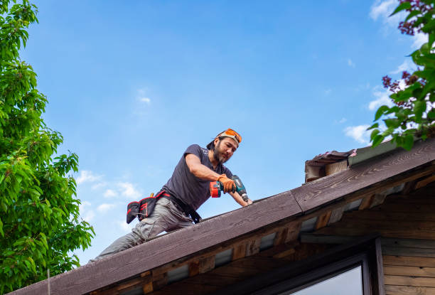 Best Metal Roofing Installation  in Riverside, MO